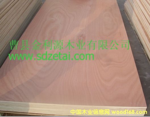 ��(x��)ľ����Ҿ�