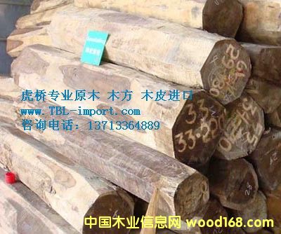 ��ߘ��M(j��n)��ӡ���ľ/�L(f��ng)܇(ch��)ľ/���}��ԭľ�M(j��n)�ڈ�(b��o)�P(gu��n)