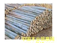 ԭľ��Ԕ����B