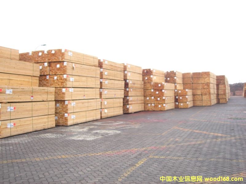 ���|ľ�ģ�����ɼľ��.��Ԕ����B