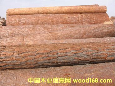 �Pľ��Ԕ����B