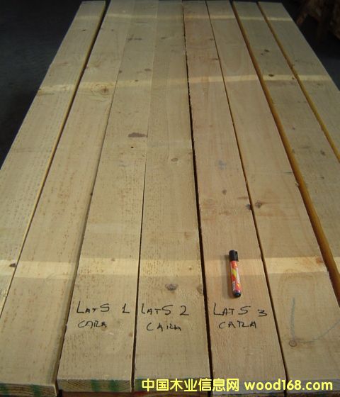 �����mݗ���ɵ�Ԕ����B