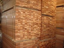 �������|�𲻓Q�ذ��Ԕ����B