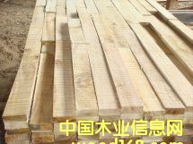 �����ĵذ����ϵ�Ԕ����B