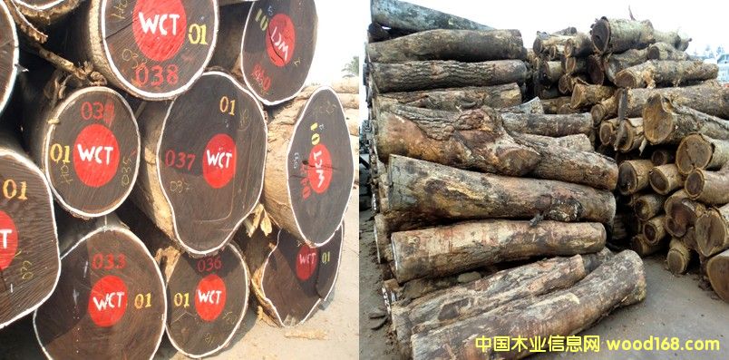 �u���Ԕ��(x��)��B