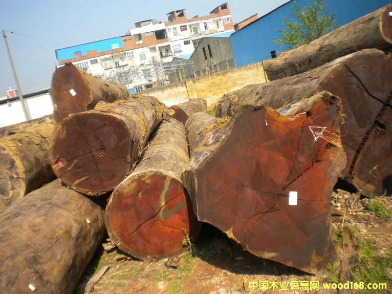 ӡ�Შ�_���Ԕ����B