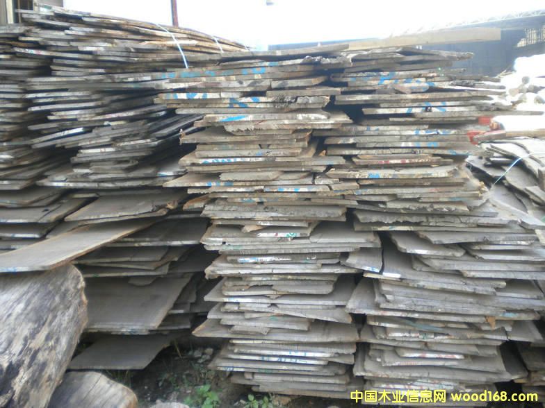 Ƥ�ұ����Ԕ����B