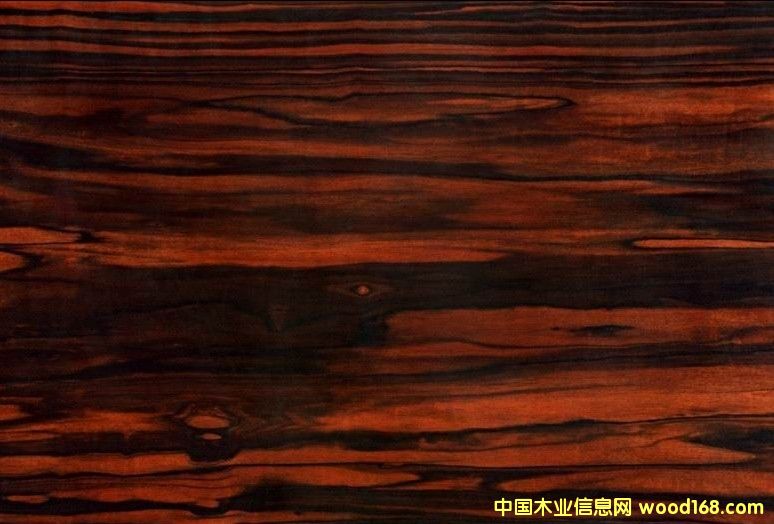 �{ɫ�l������������|��̴�ذ�