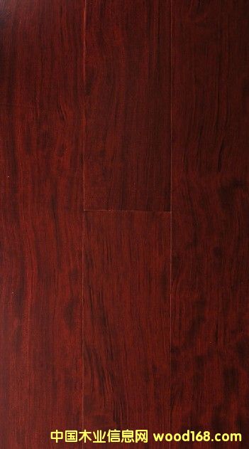 �{ɫ�l�샞�|����ذ�,���^���� 