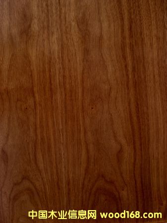 �S�rֱ�N~~�ں��Ҍ�ľ�ذ�