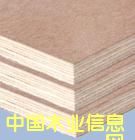 ���Ӱ��Ԕ����B