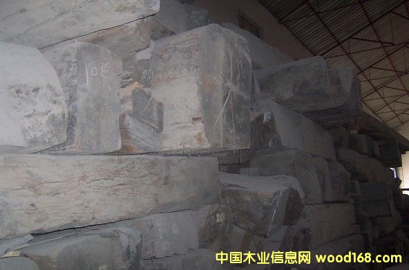 ����t��֦