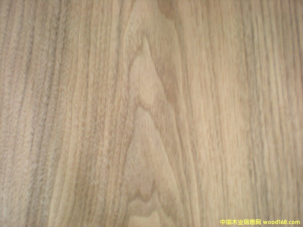 �ں���ľƤ��Ԕ����B