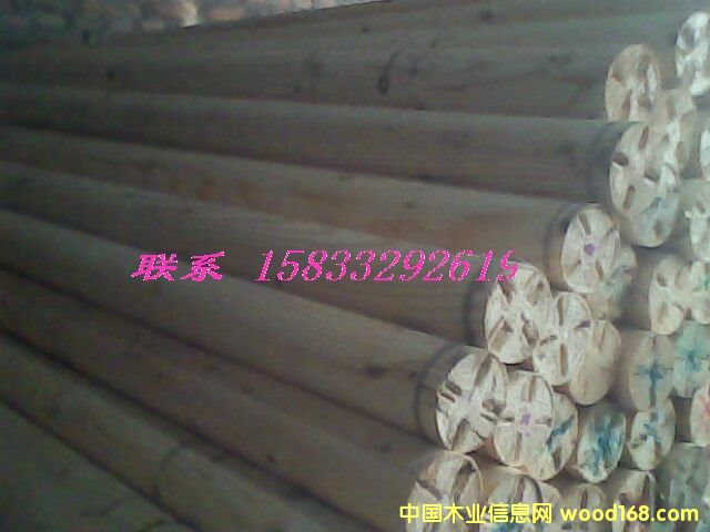 �c���鿴������ľ���Ŵ�DƬ