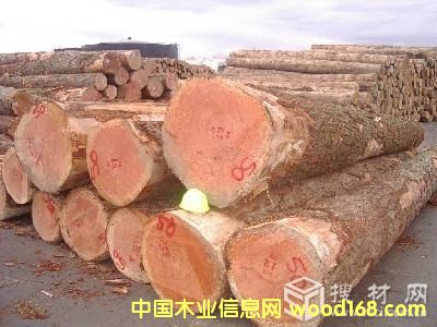 ݗ���ɵ�Ԕ����B