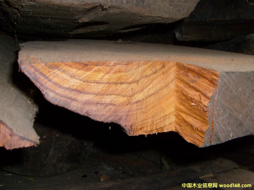 �S�����Ԕ����B