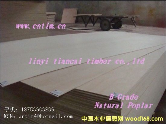 ��ľԭɫ�z�ϰ�