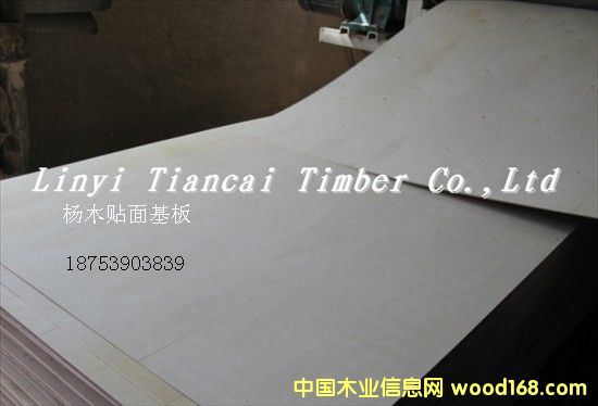 ȫ��ľ�N�����1