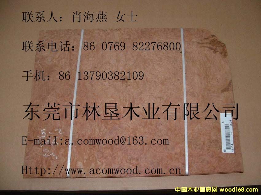 �����Ș���