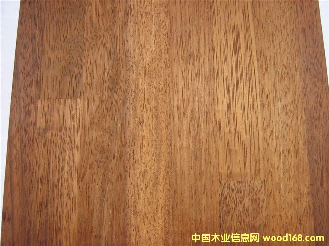 ���_��Merbau��Ԕ����B