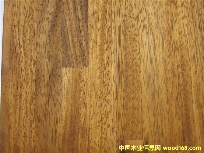 �Pɫ�ϚgľYatandza