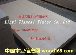 ȫ��ľ��Ƥ�z�ϰ��Ԕ����B