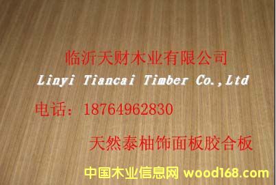 ��Ȼ̩�������z�ϰ��Ԕ����B