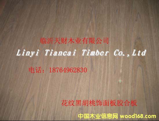 ���y�ں��������z�ϰ��Ԕ����B