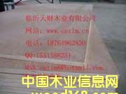 18mm�W������ƤMR�zˮ�z�ϰ��Ԕ����B