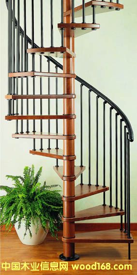 ���ʘ��� �ľ���D���� ����