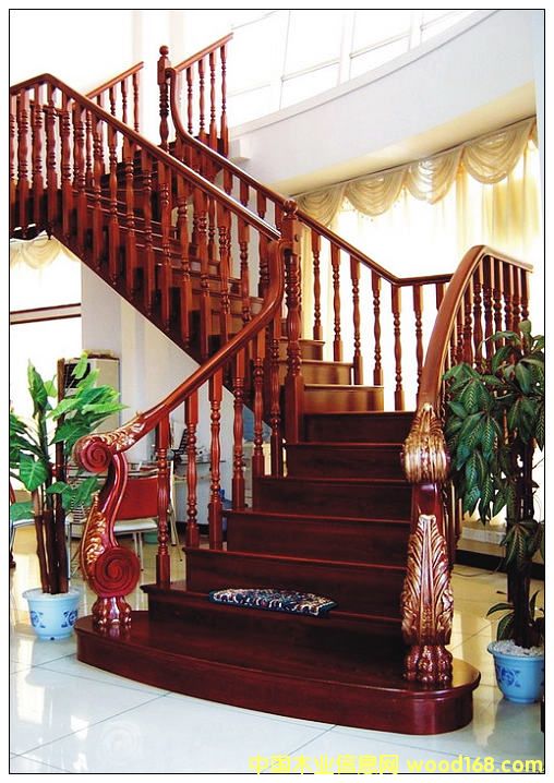 ���ʘ��� ��ľ���� ���m5