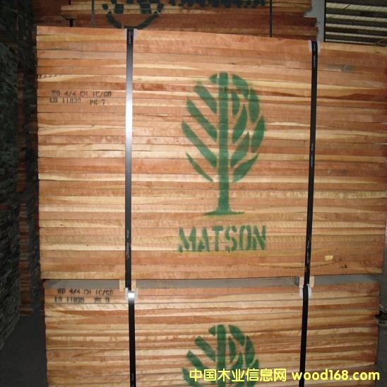 ��������ľ��Ԕ����B