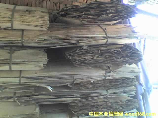 �����Ԕ����B