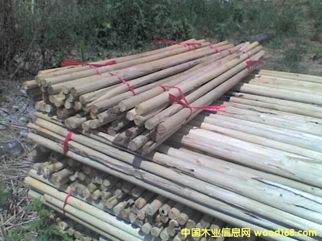 ��ľ�S��Ԕ����B