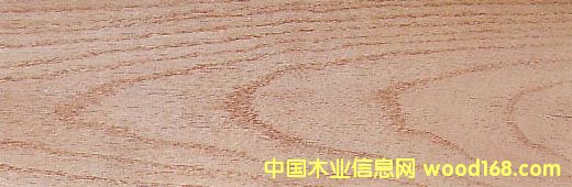 �t�� Red Oak��Ԕ����B