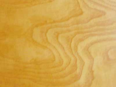 ��˨�����Ԕ����B