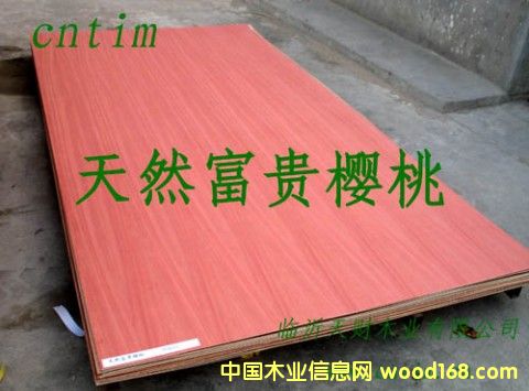 ��Ȼ�t���ҵ�Ԕ����B