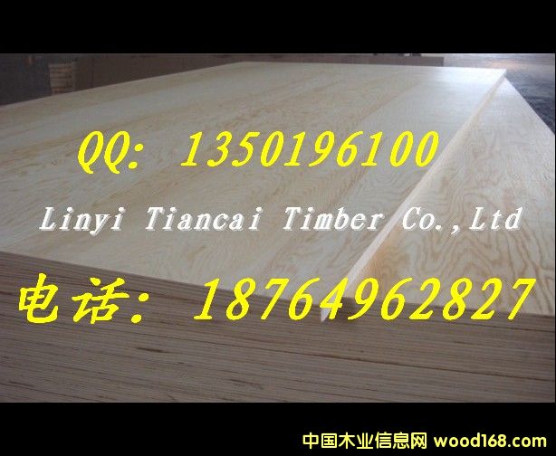 �����T�����z�ϰ壬�|���ɿ����r�����