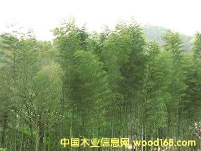 ���Ԕ����B