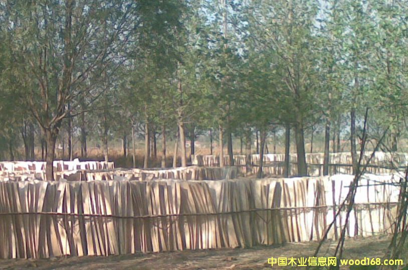 �ΰ��Ԕ����B