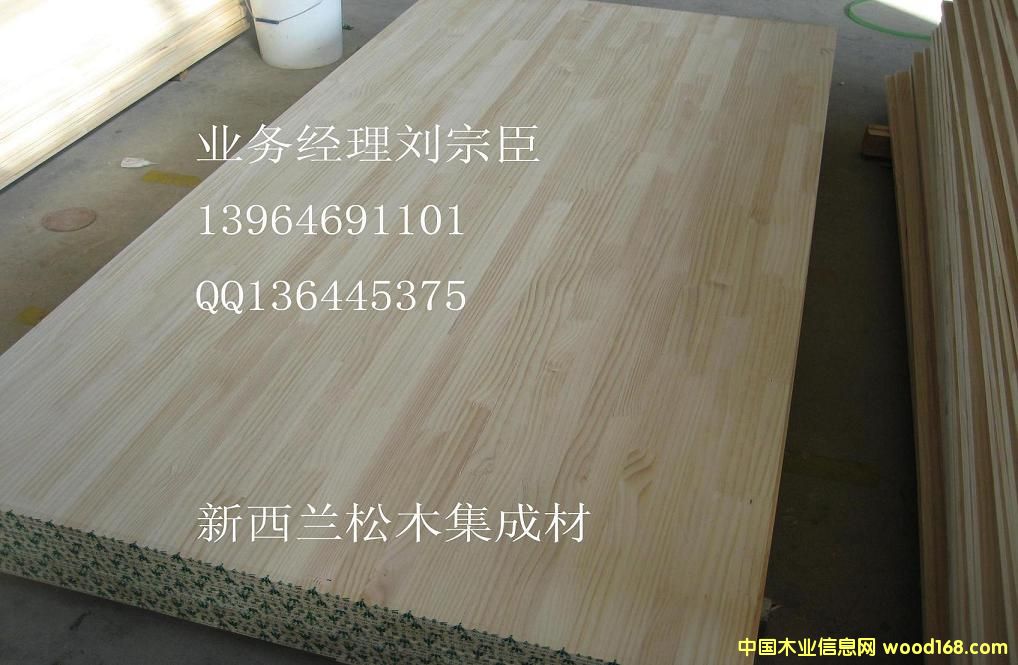 �����mݗ���ɼ��ɲ�