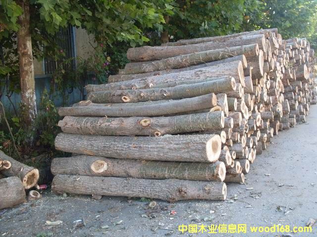 ��ľ��Ԕ��(x��)��B