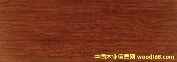 ���˼y�¹�ϵ�� 6061��Ԕ����B