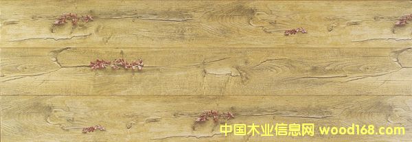 ���˼y�¹�ϵ�� 6062��Ԕ����B