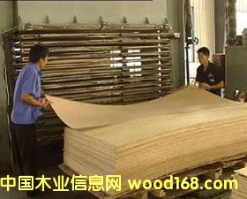 ����ľƤ��Ԕ��(x��)��B