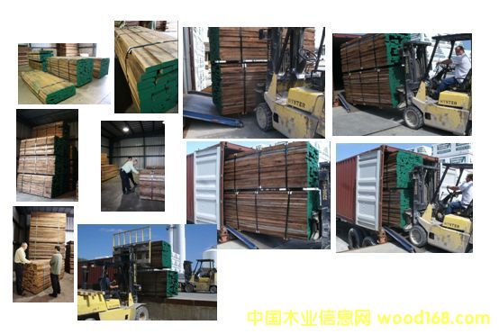 �����M�ںں���ԭľ��Ԕ����B