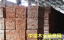 �W�ޙ�ľ����ľ��ĵ�Ԕ��(x��)��B