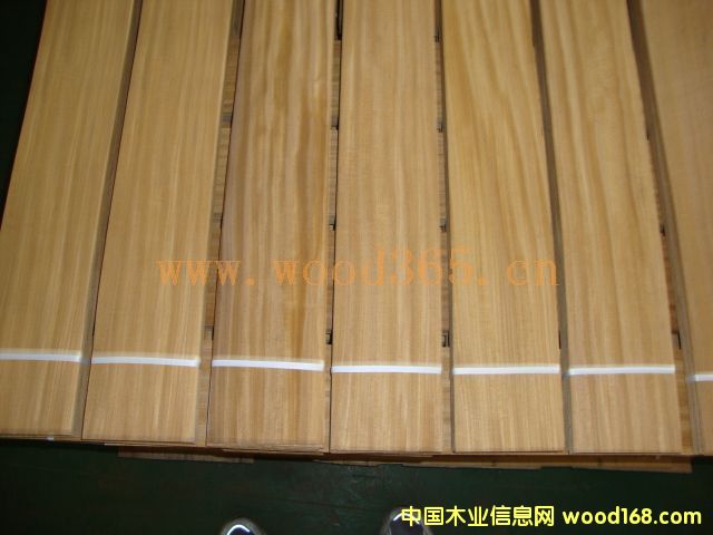 ����ľ��ľƤ��Ԕ��(x��)��B