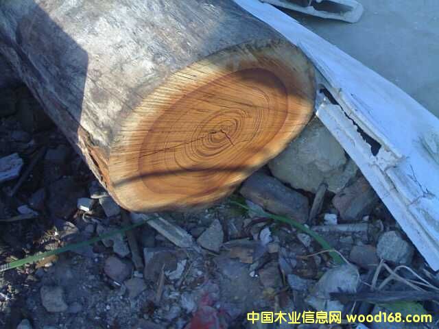 ��ľ1��Ԕ����B