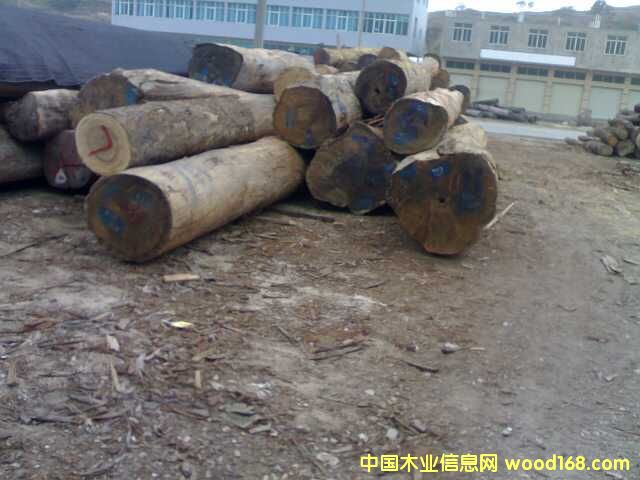 �uľ��Ԕ����B